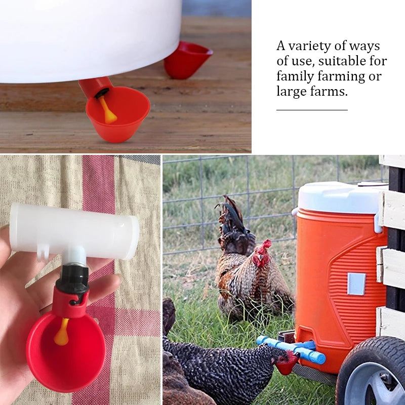 100pcs Automatic Chicken Waterer Cups Plastic Backyards Chicken Water Feeder,Poultry Water Drinking Cups Bowls,Float Style Feed - Healyno